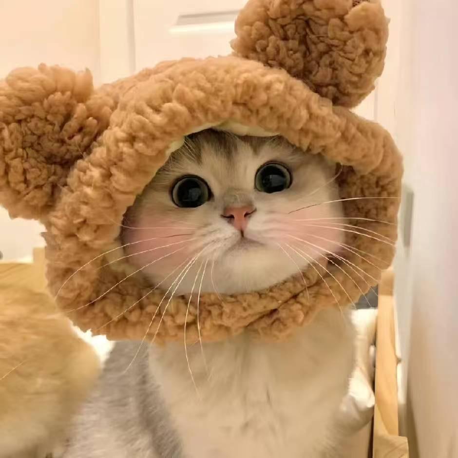 草莓味儿的你