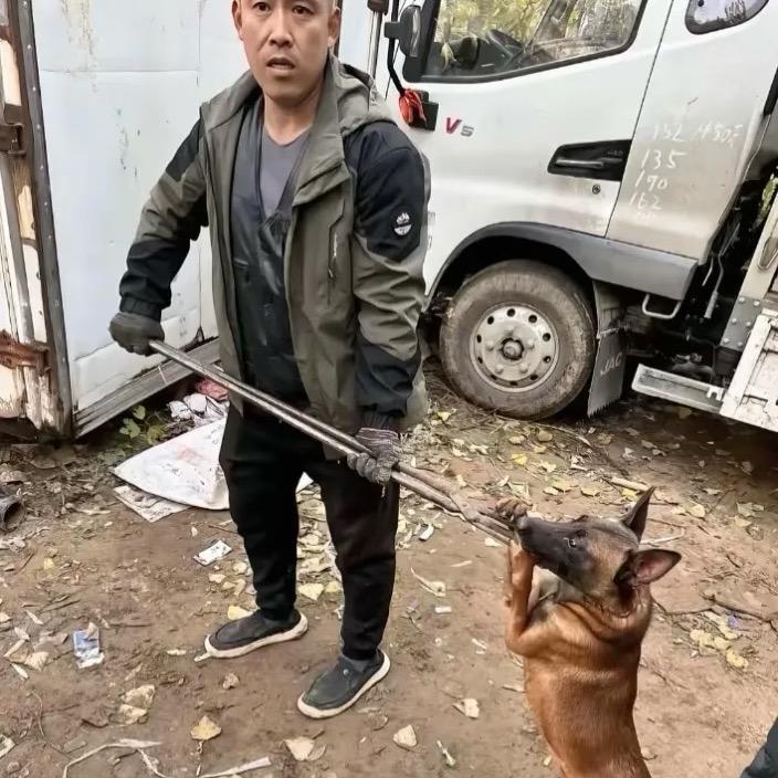 黑河二手套狗回收