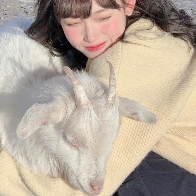 一只小🐑