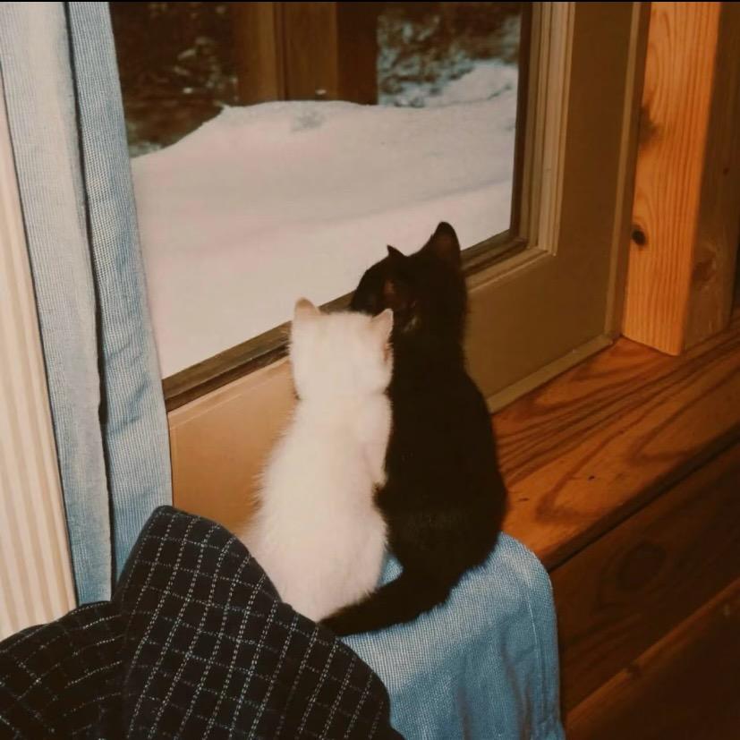 伤感帅气非主流