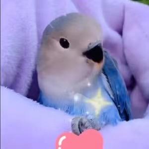 总有那风吹不散的认真