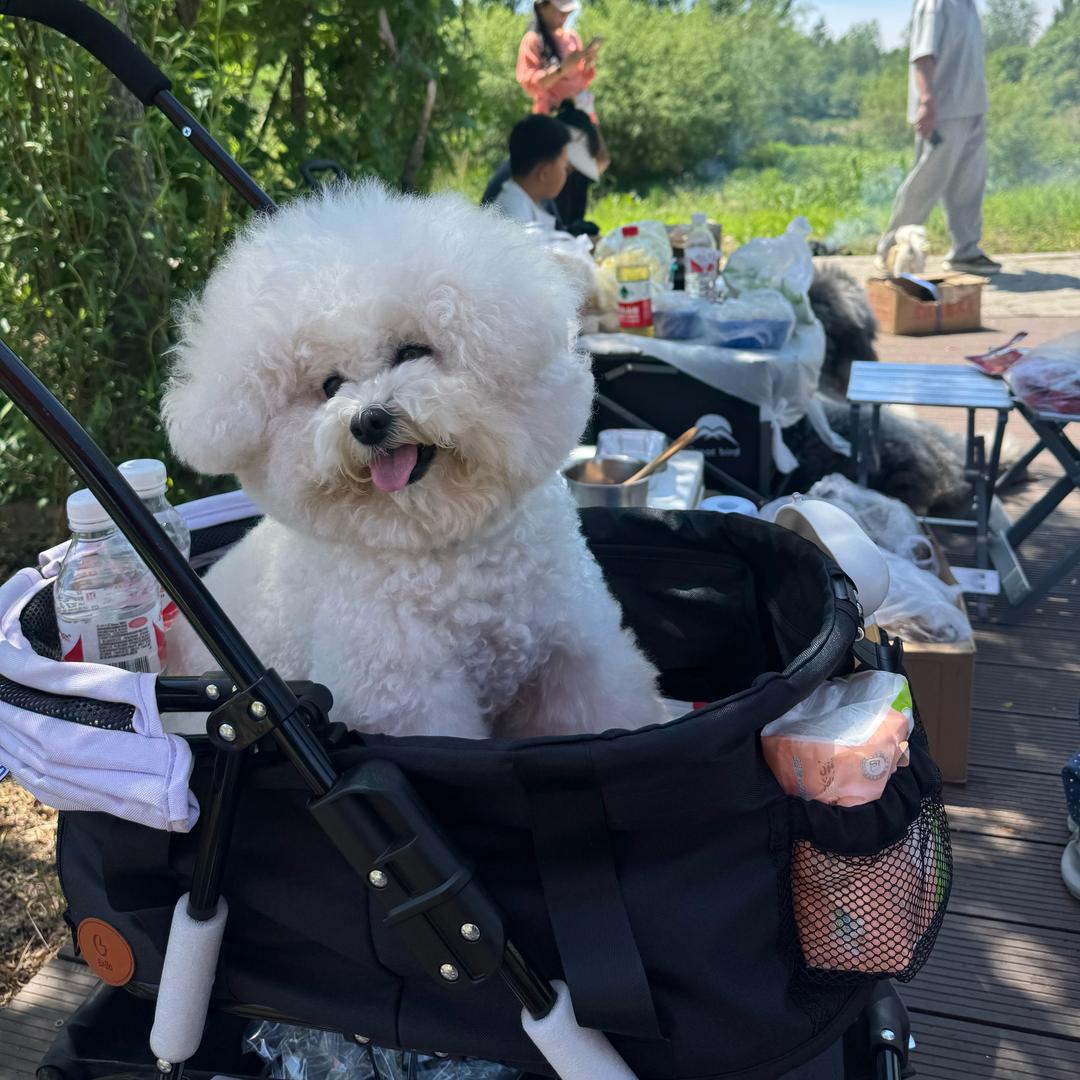 最火不过你鑫哥