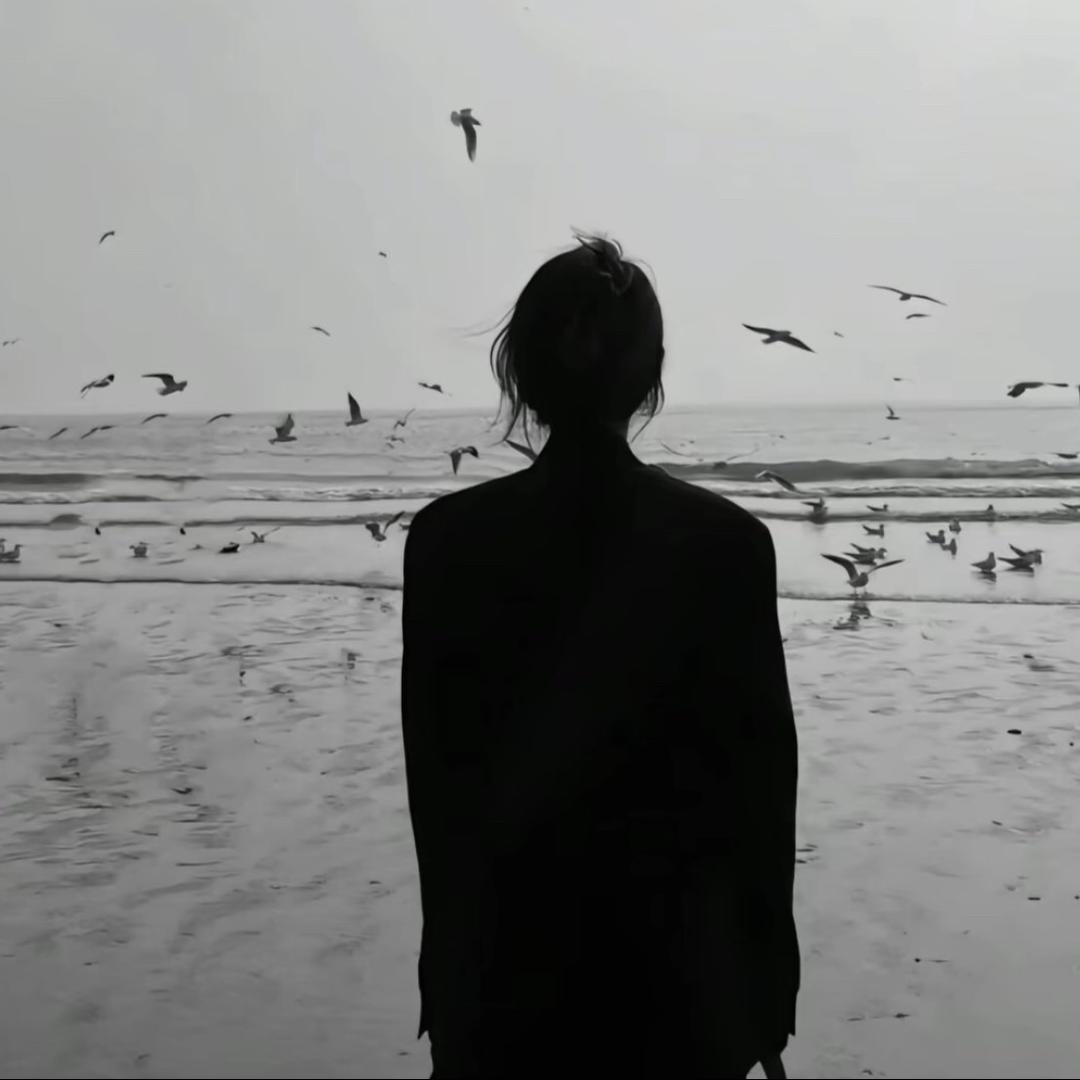 孙晴晴晴