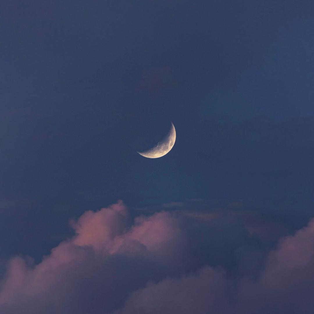 🌙.