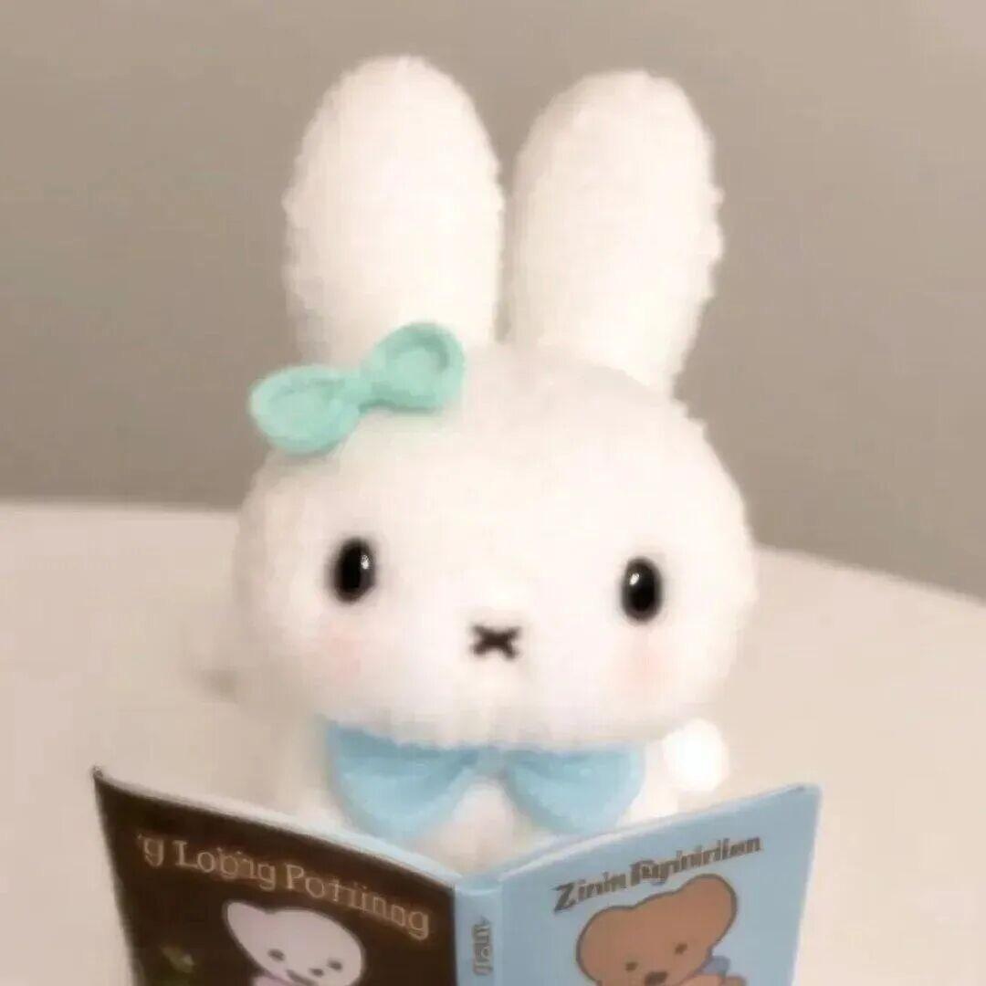 Francesca 🐰ྀི