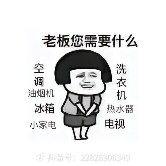成武华飞家电