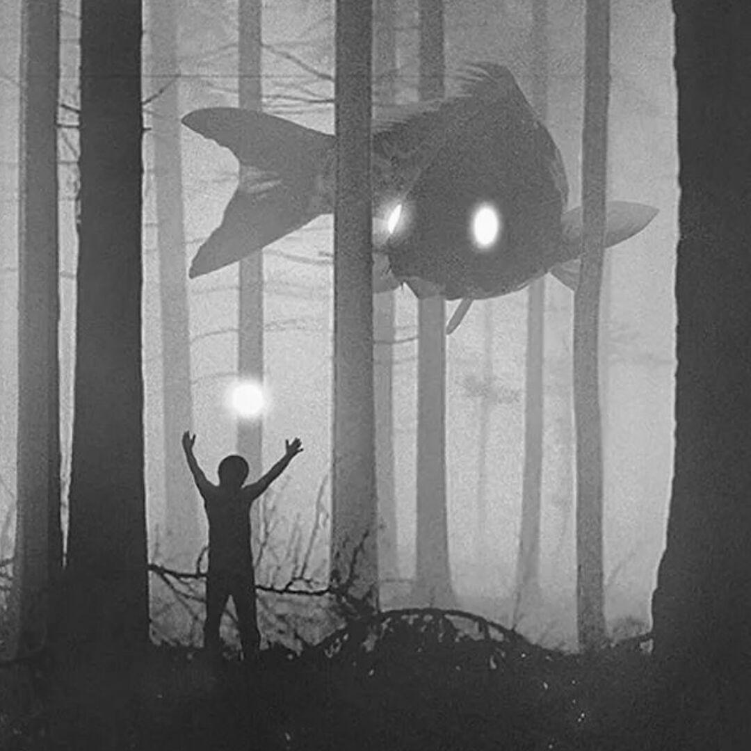 学不成Pytorch不改名