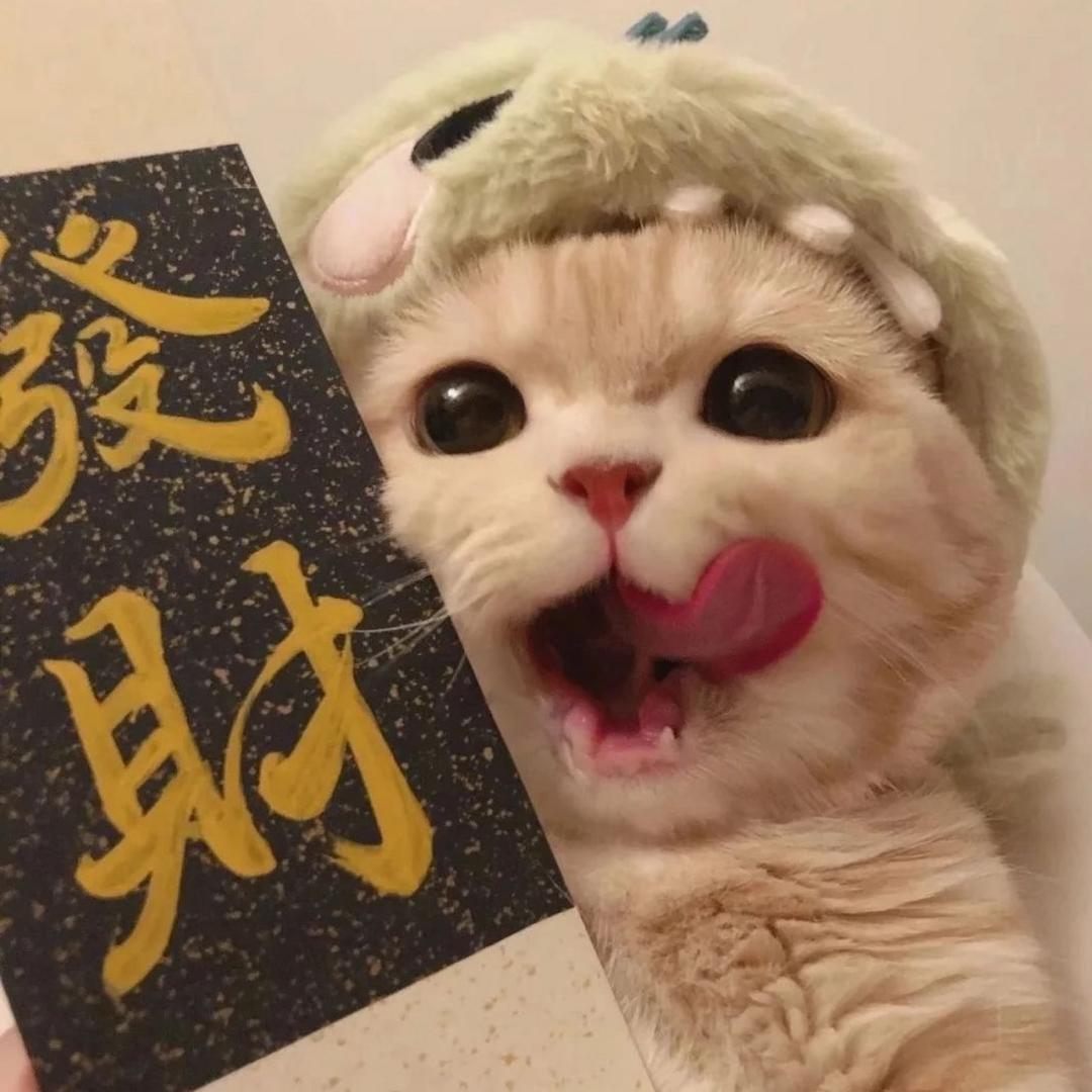 C秋秋