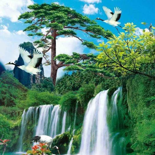 魅力之源百货优选