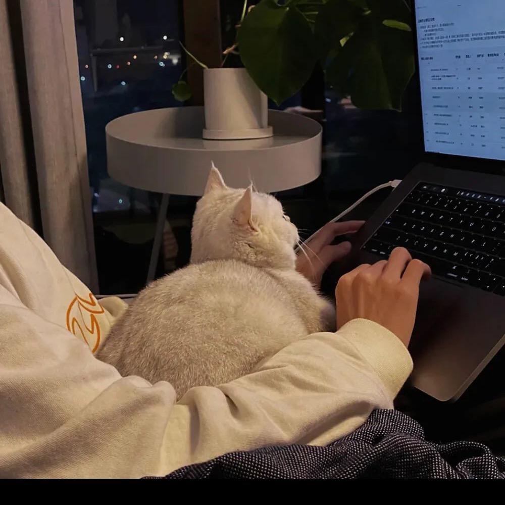 🌈唯愿长梦不醒