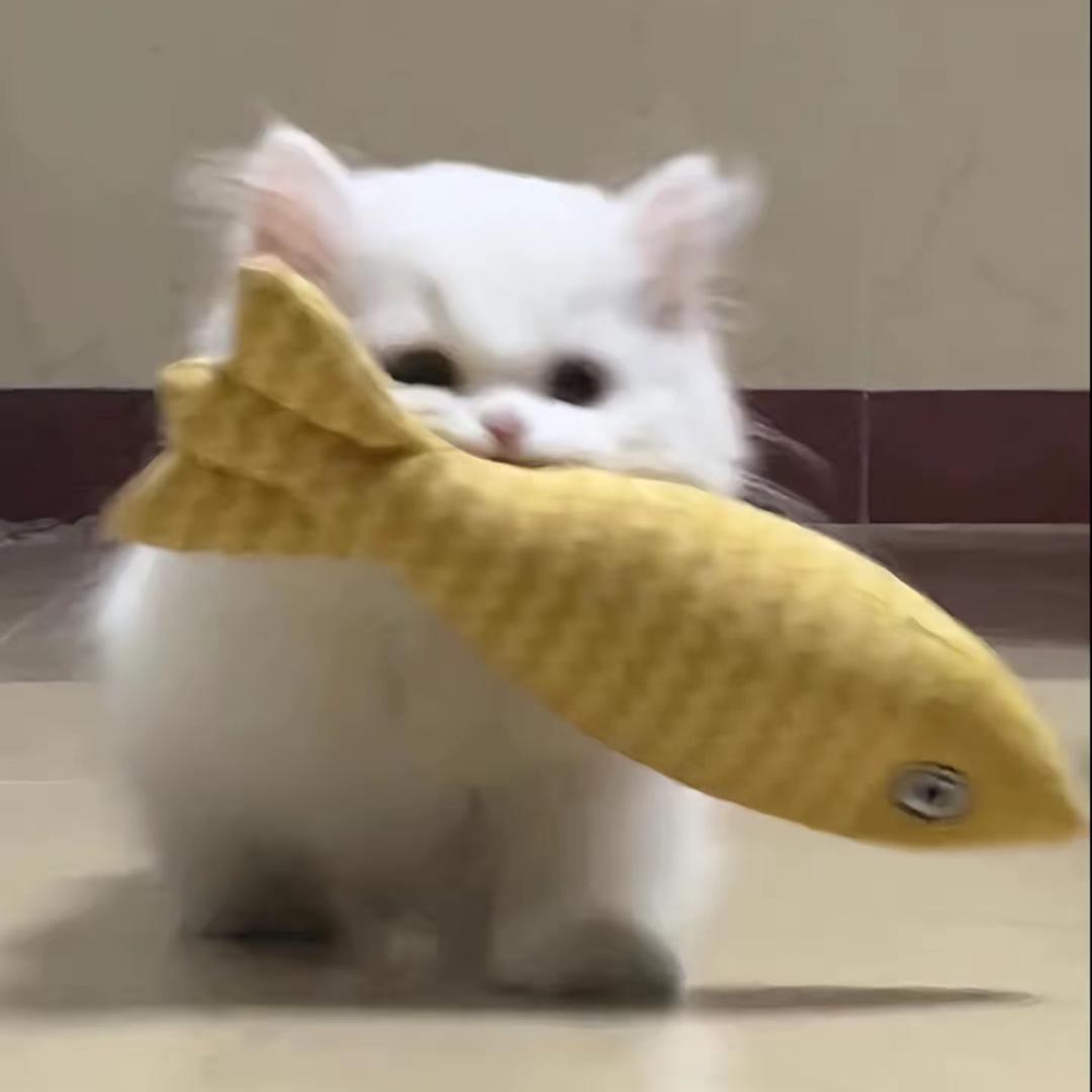 海王海王星