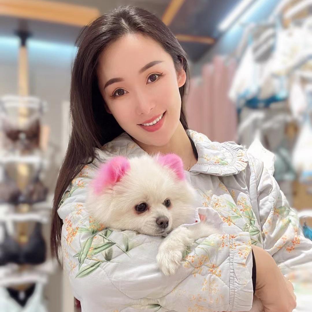 界首·梧桐本色