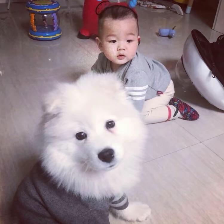 ㅤ天
