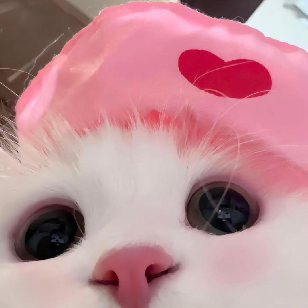 菠萝猪扒包