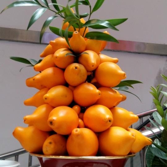 年轻的舞娘～军嫂之家）