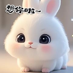 黄黄小铺