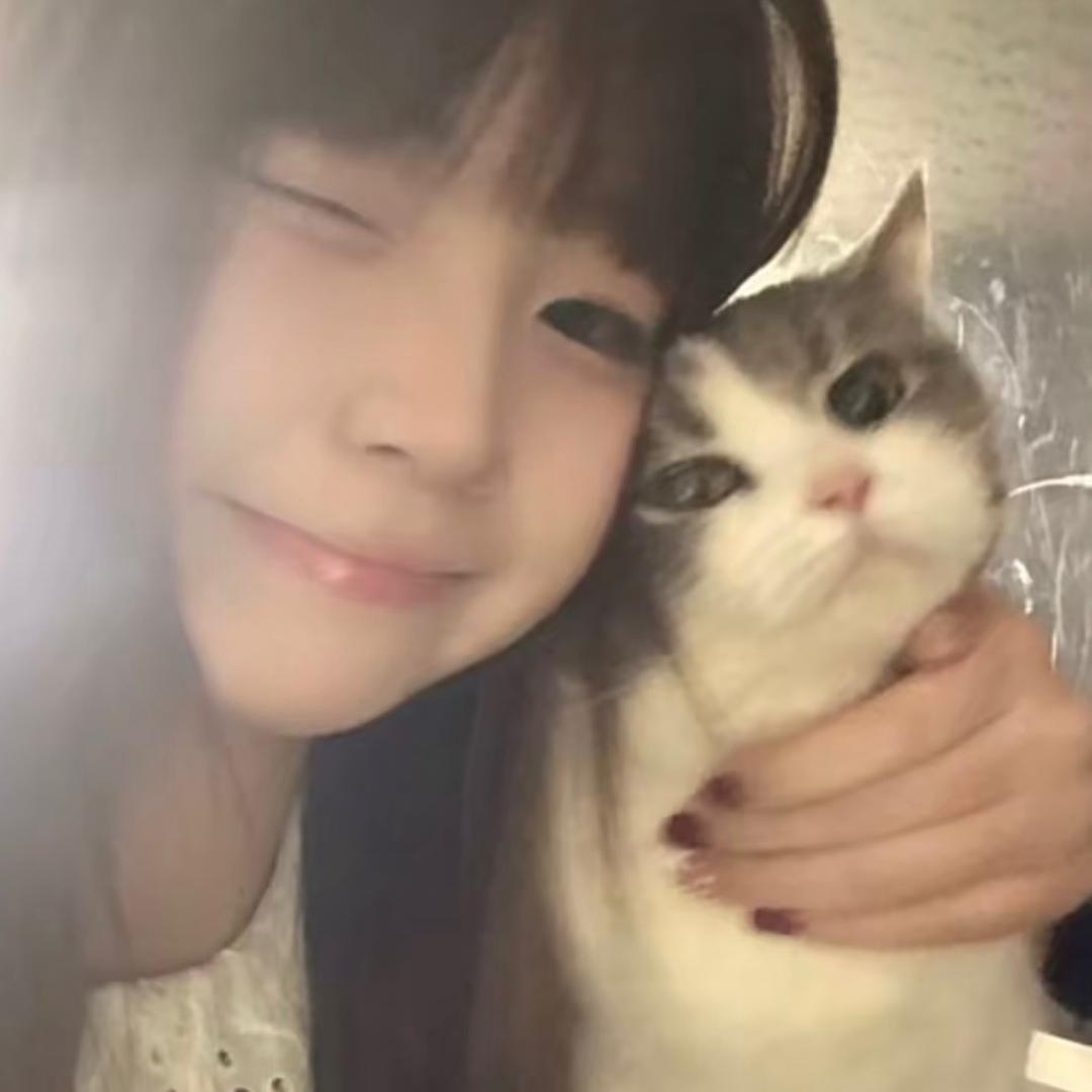 爱散了