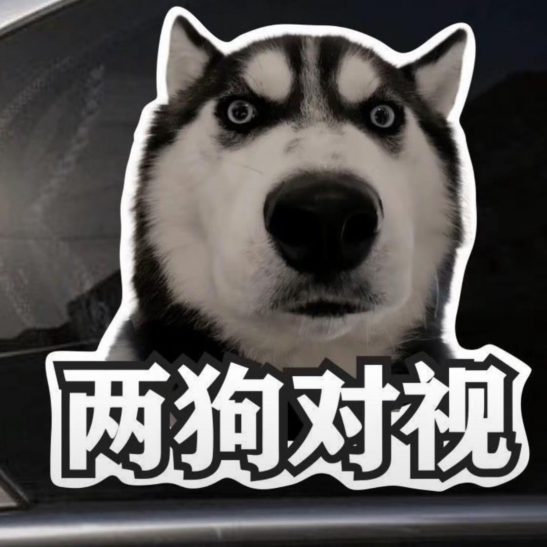 看看就得了👻