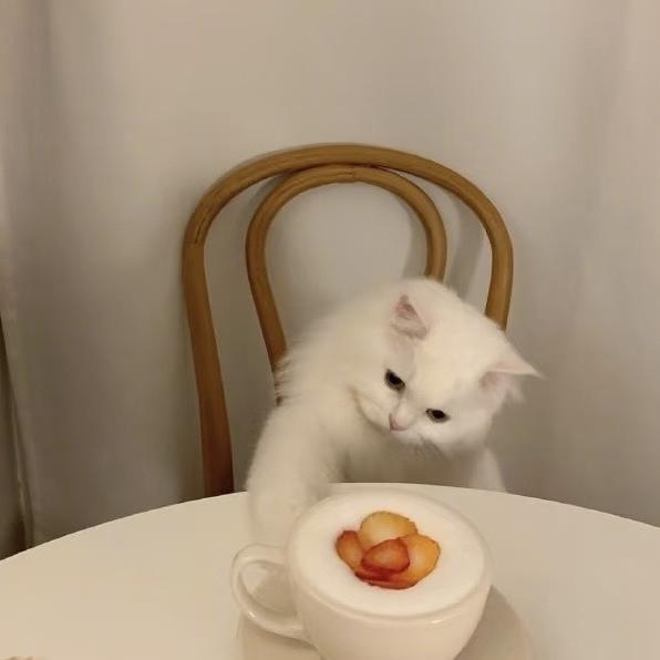 喵呜花园MeowGarden