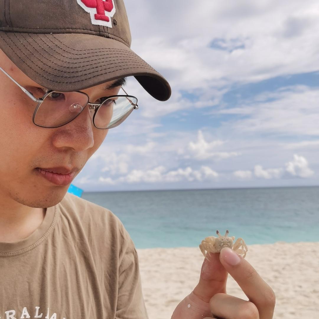 大头的动物世界