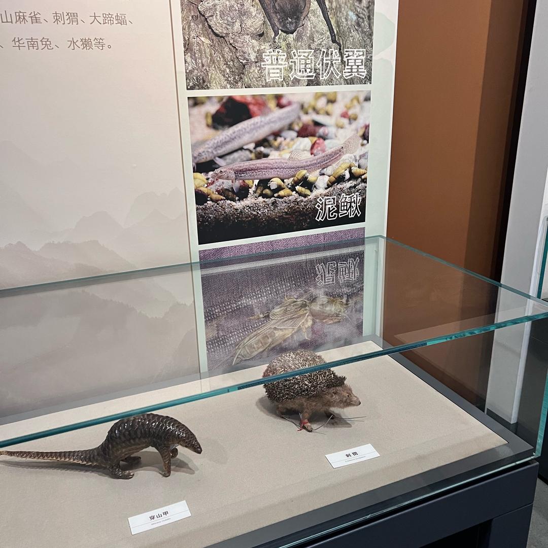 小李姐姐