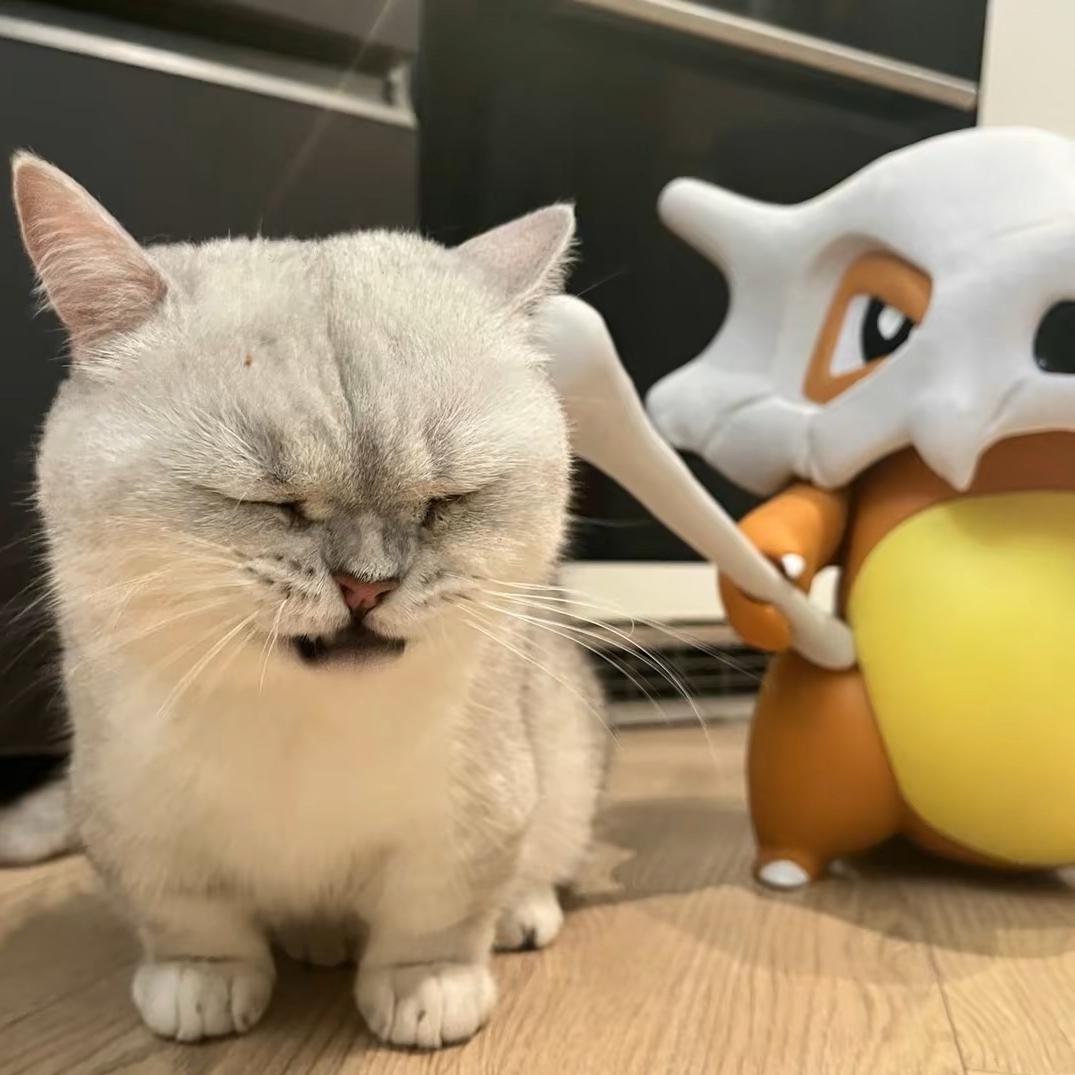 Perfect lllusion