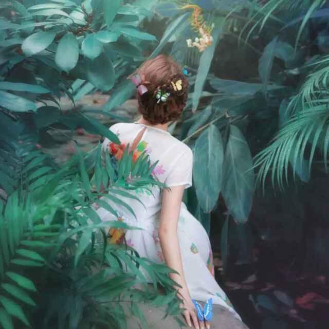 花  花