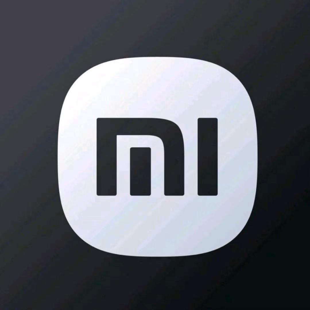 太原小米汽车新汇众-楚楚