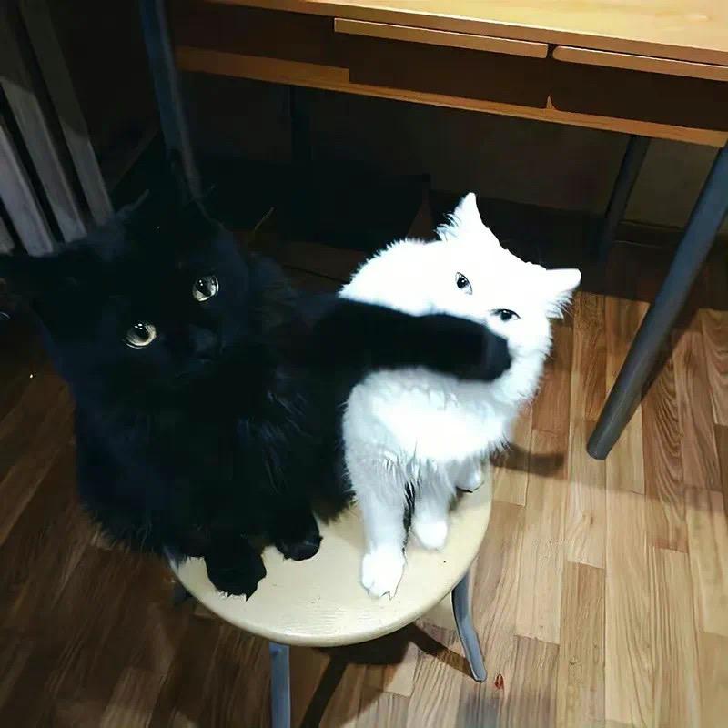 藤_