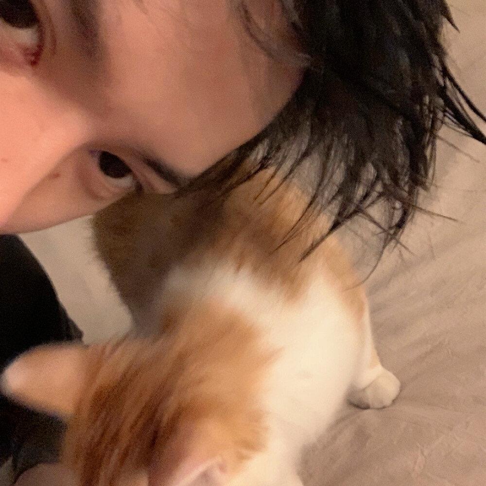 细狗小崔