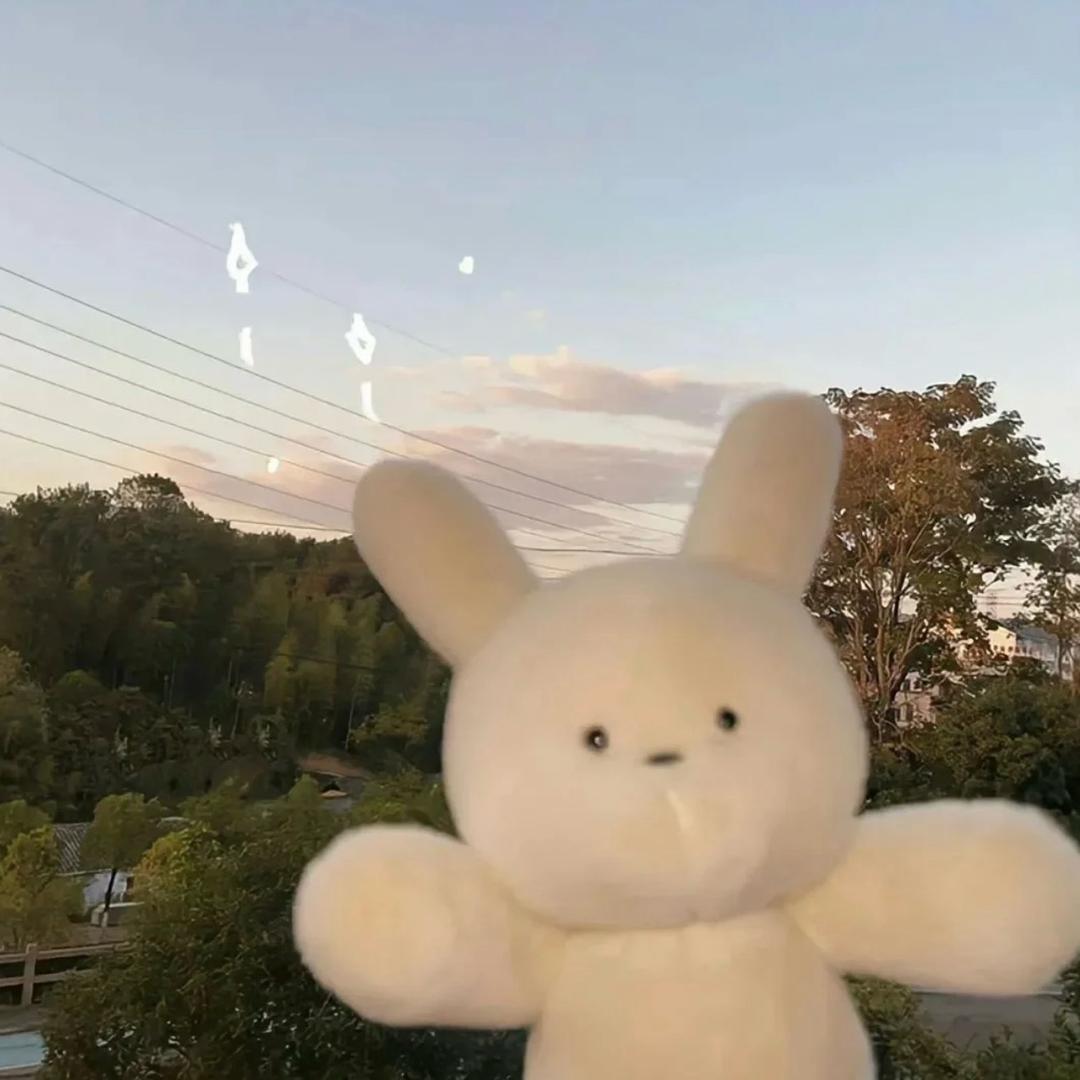 🎀
