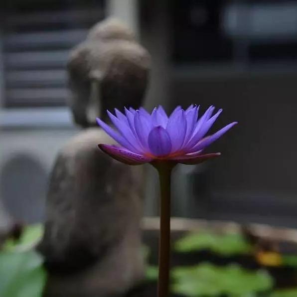 仁芮（余生各自安好）