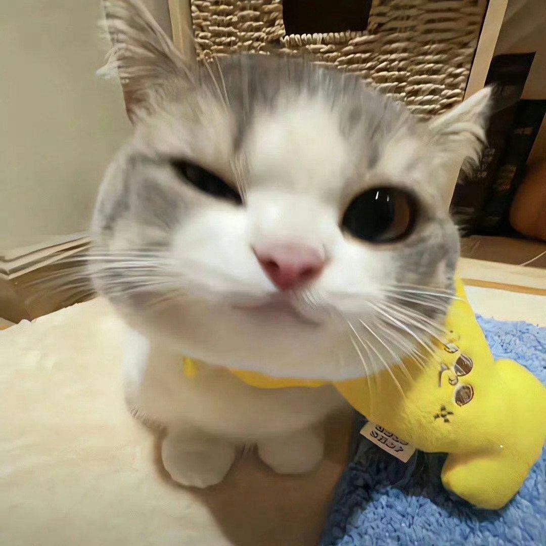 小菜爱生活