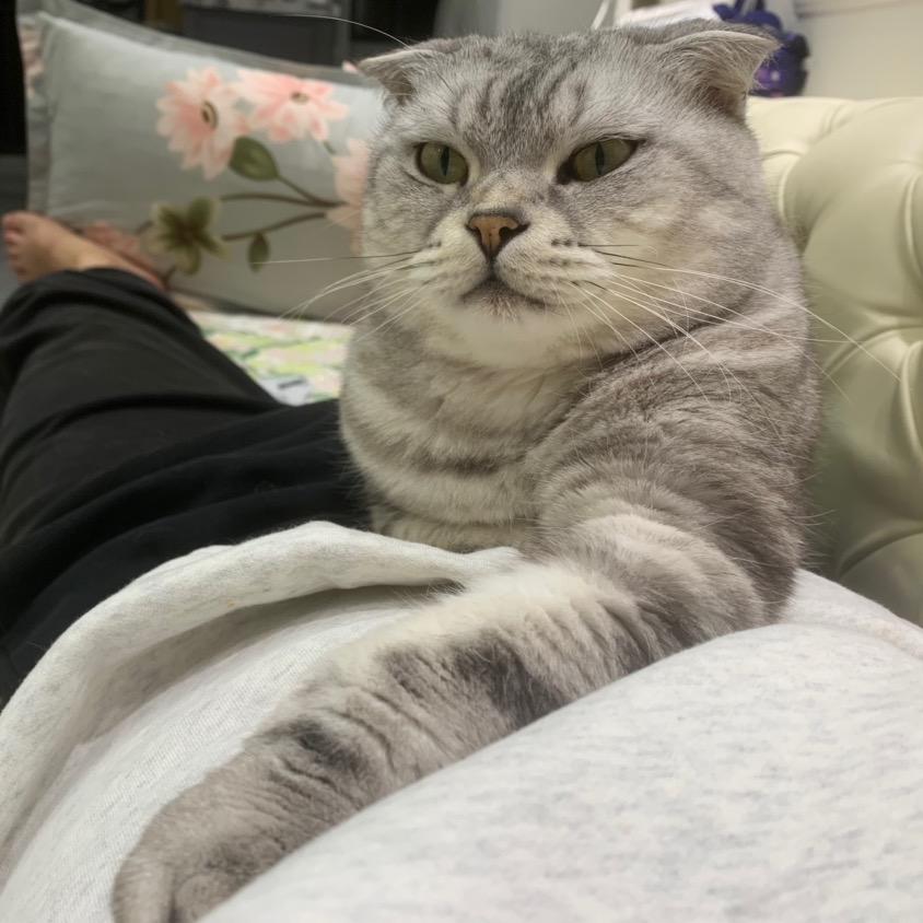 吃了几大碗米饭