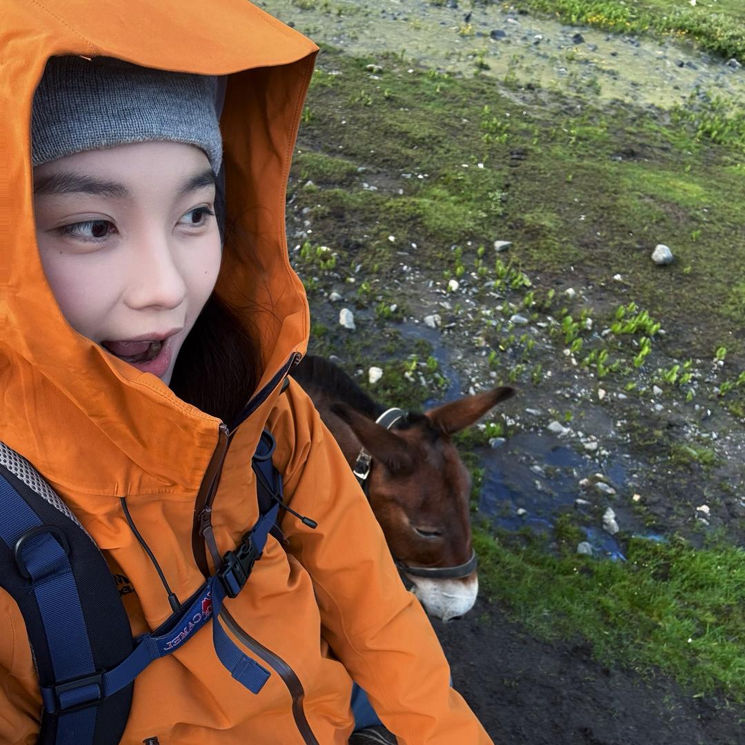 金毛（户外领队）