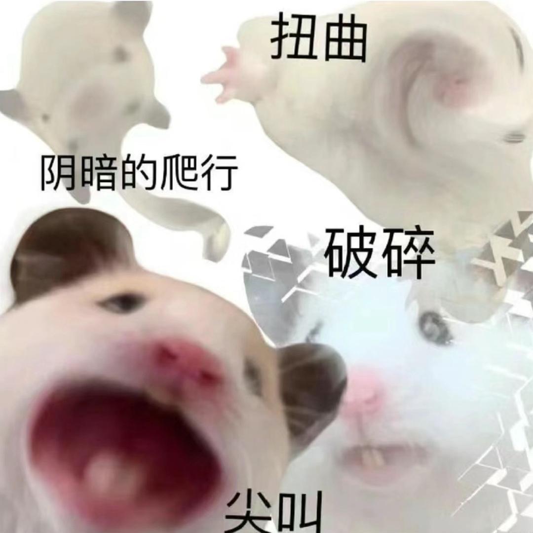 西西鱼头像