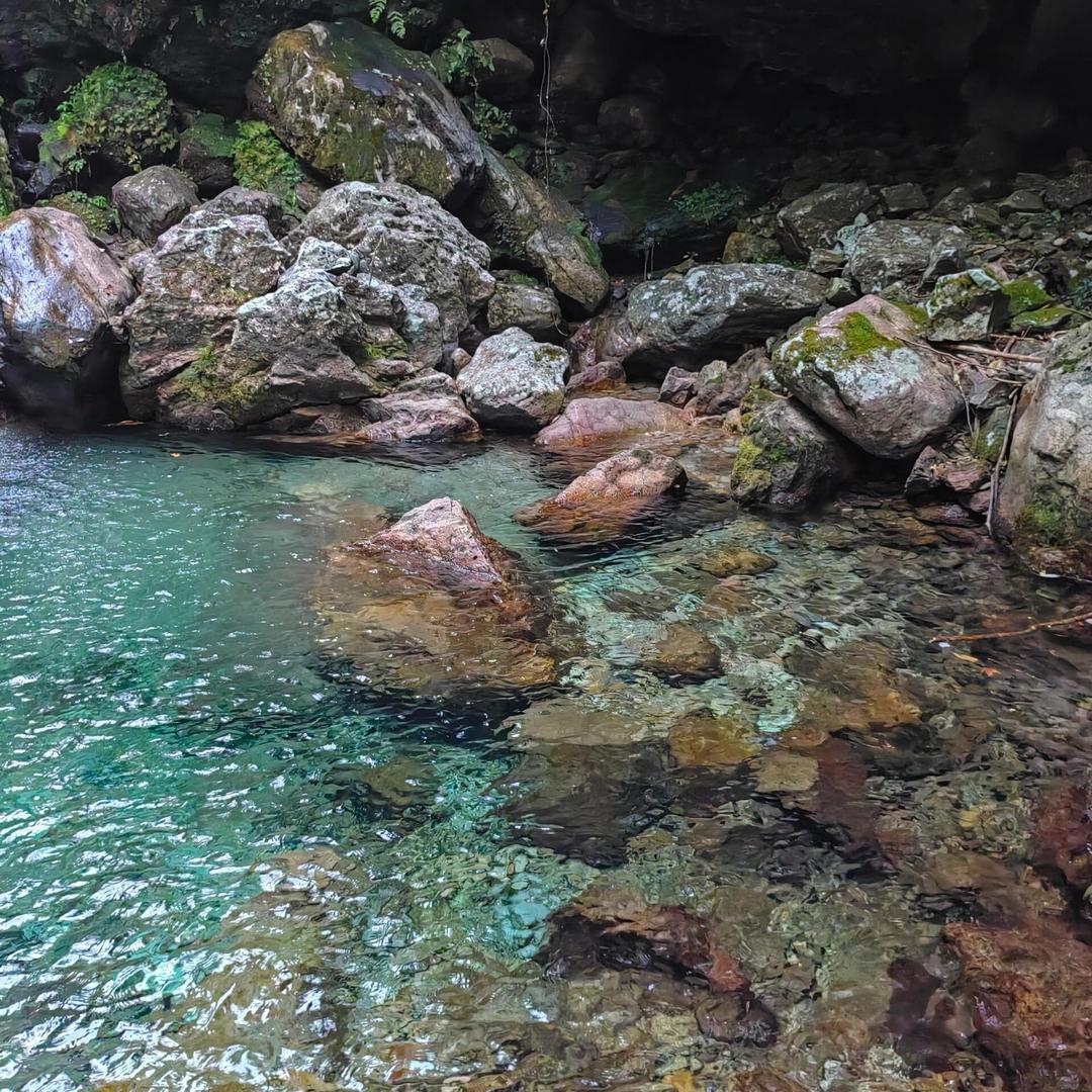 王姐在金华（休撬棍）