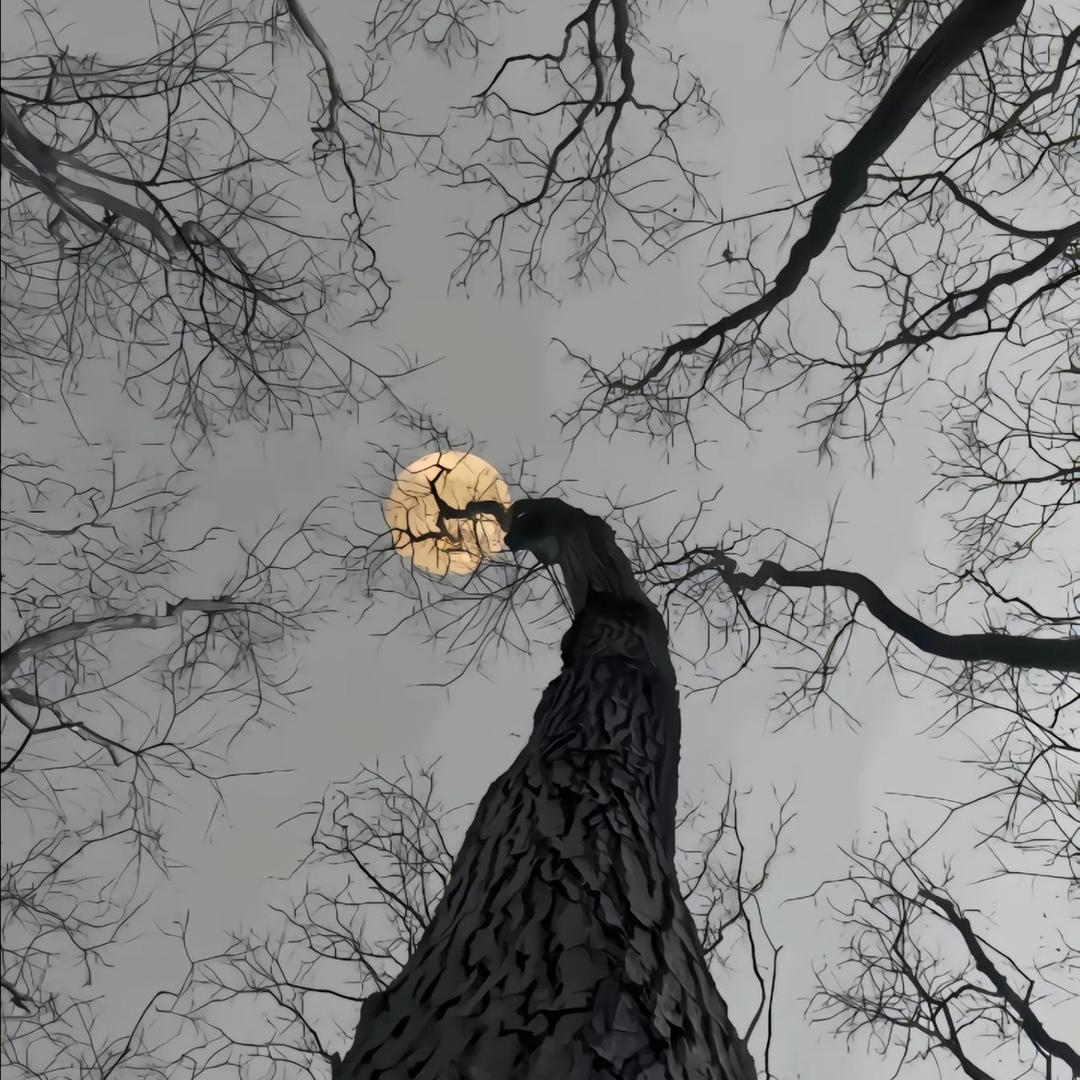 🕰️