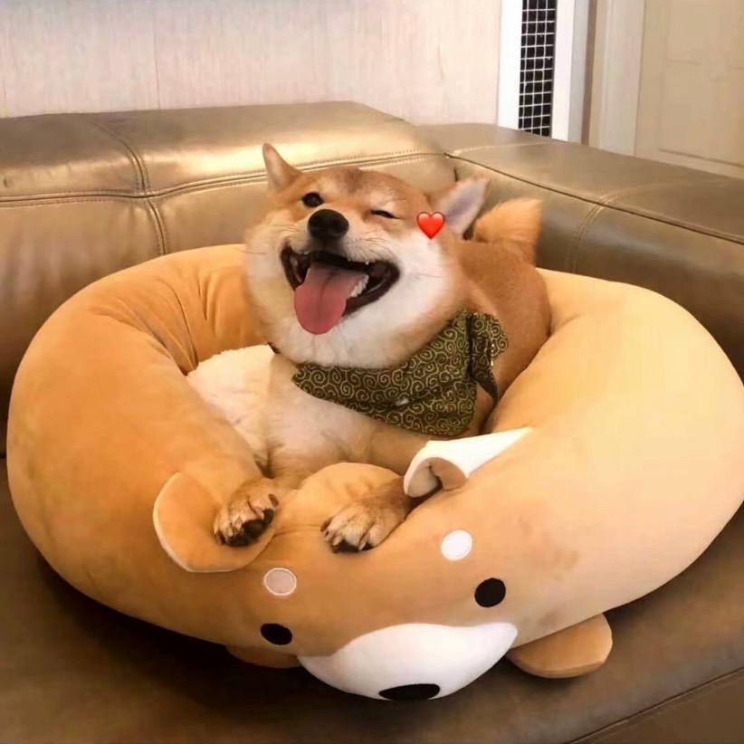 安然-