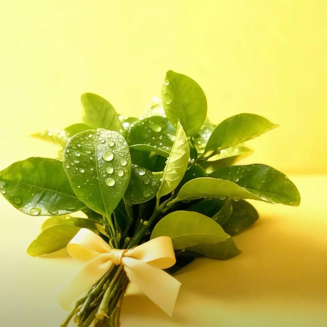 短发女孩传传递正能量