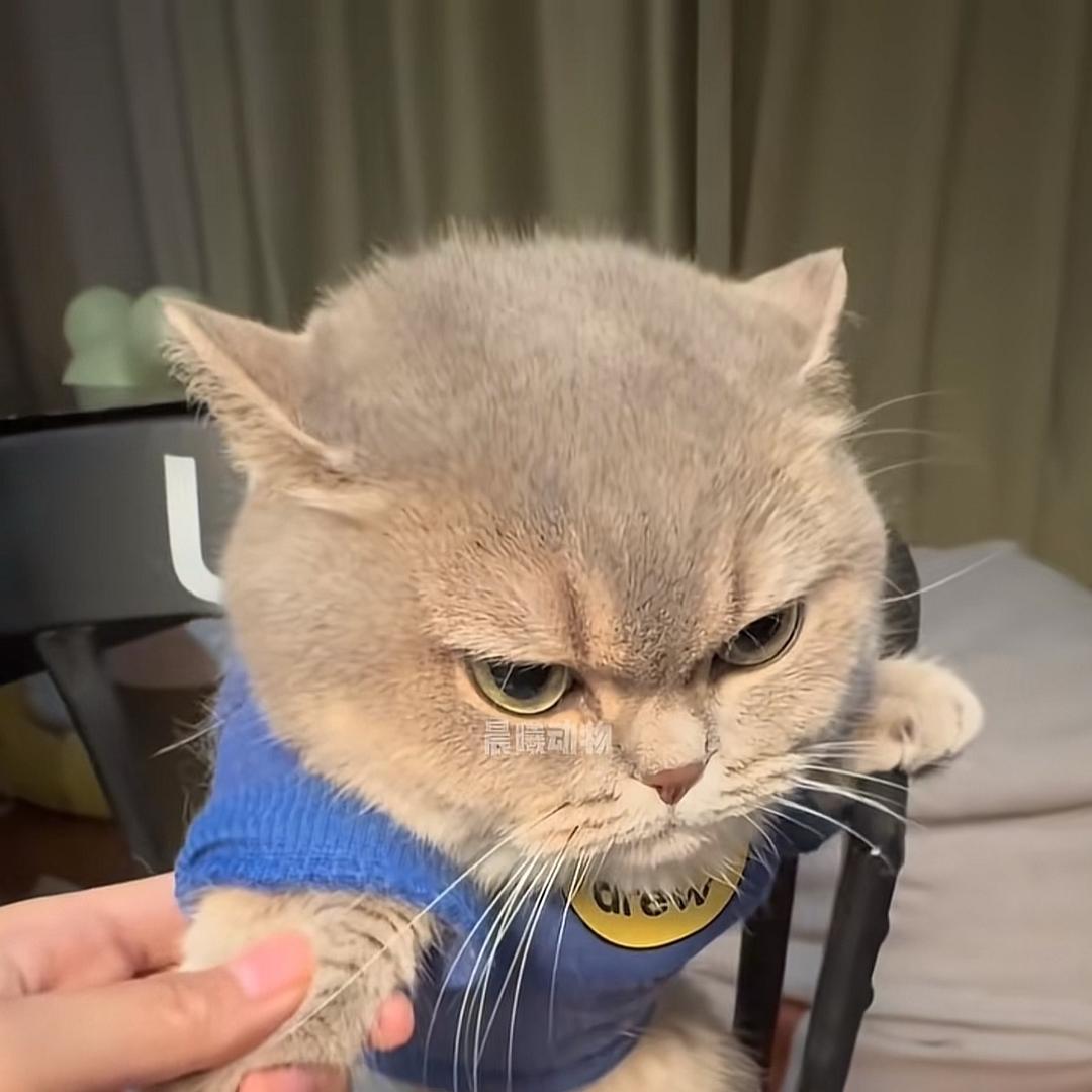 林，