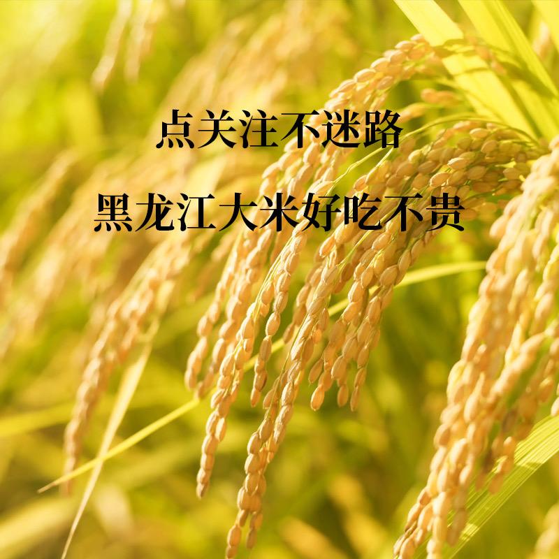 用三只猴大米直播带货