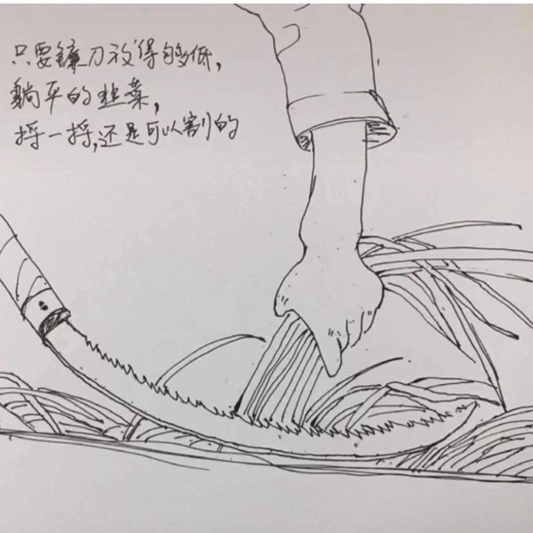凉拌菜