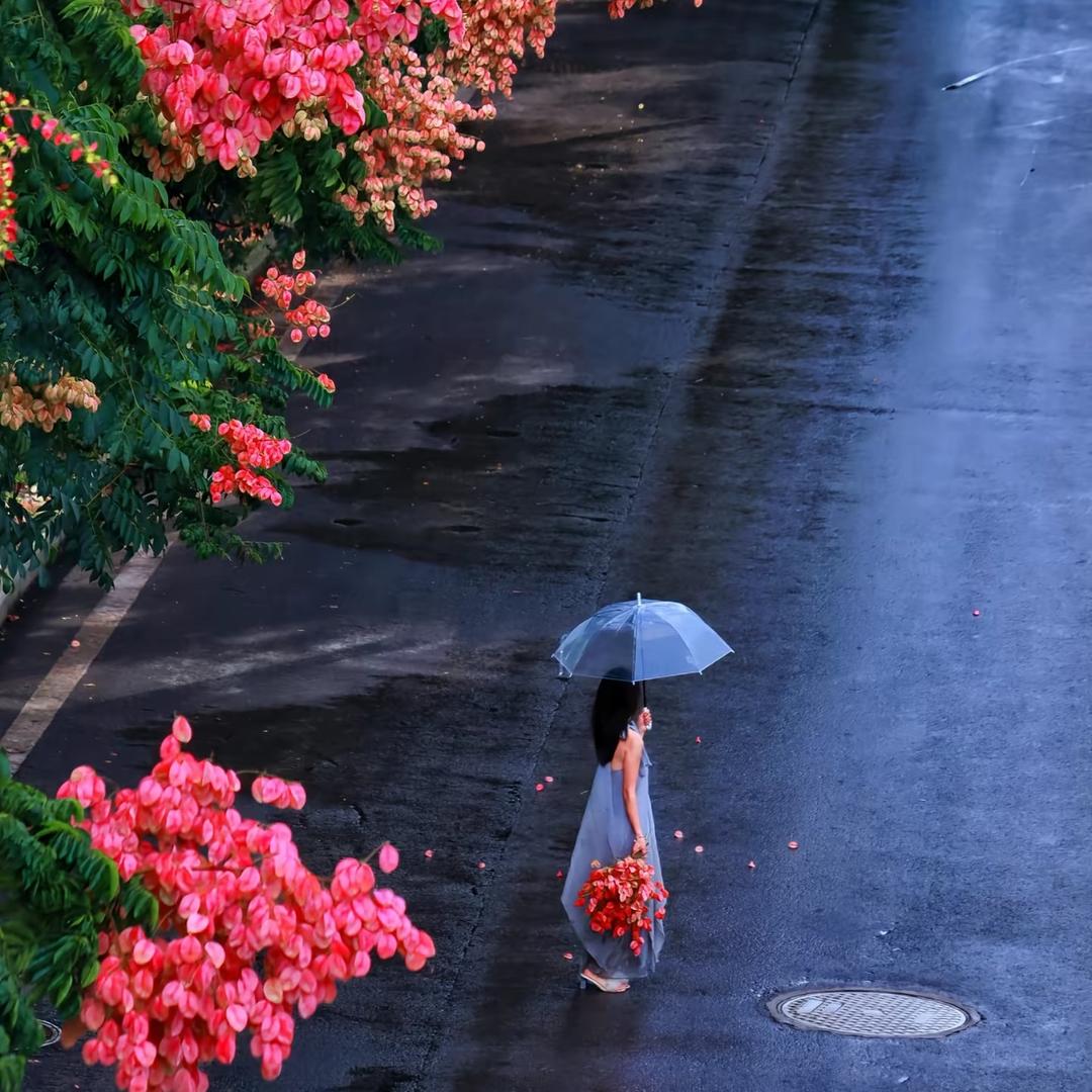 罗菲Roffey