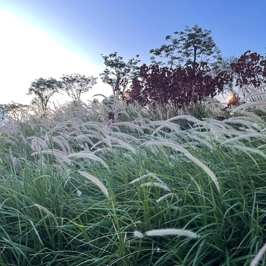 星空              🎣