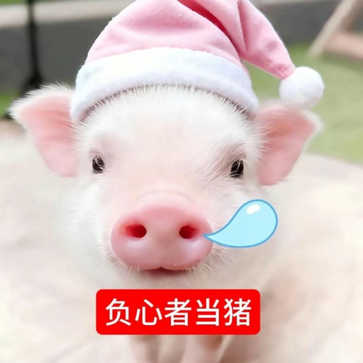 卖萌被打掉两颗门牙