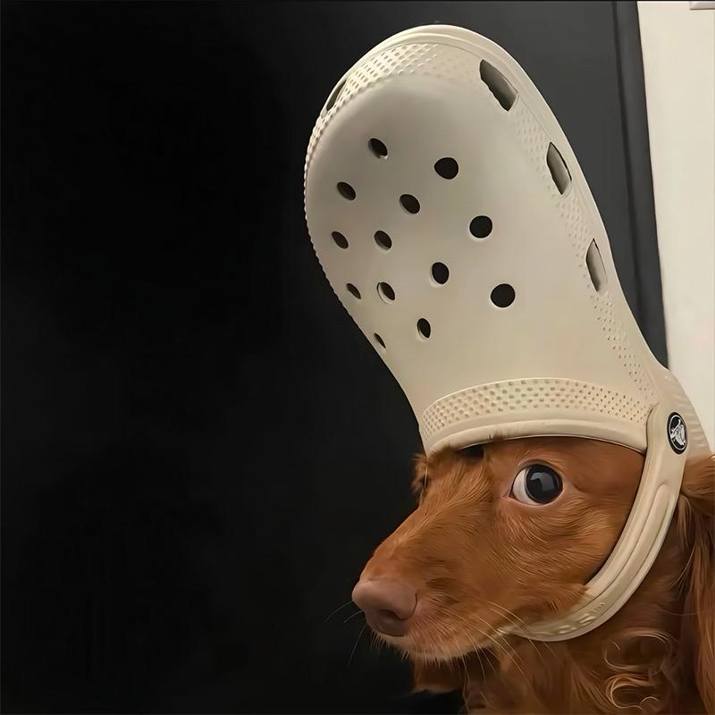 狂踹瘸子那条好腿