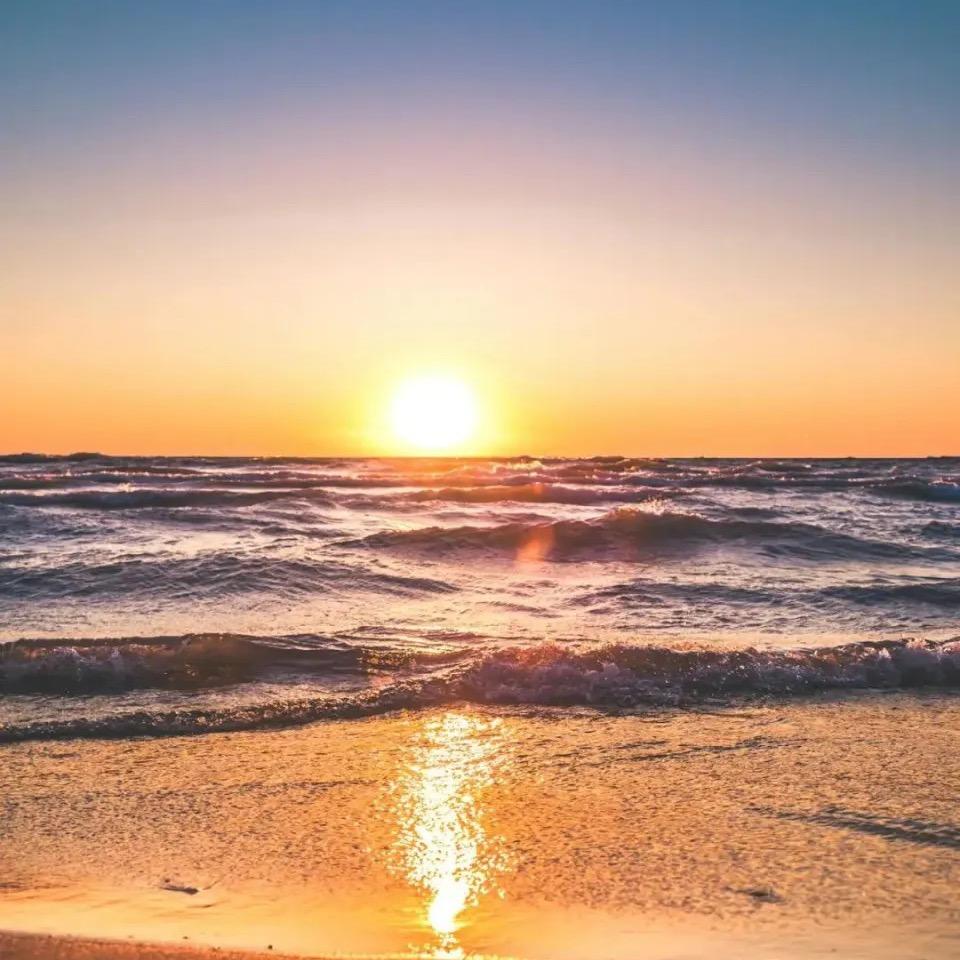 宅基地，土地查询