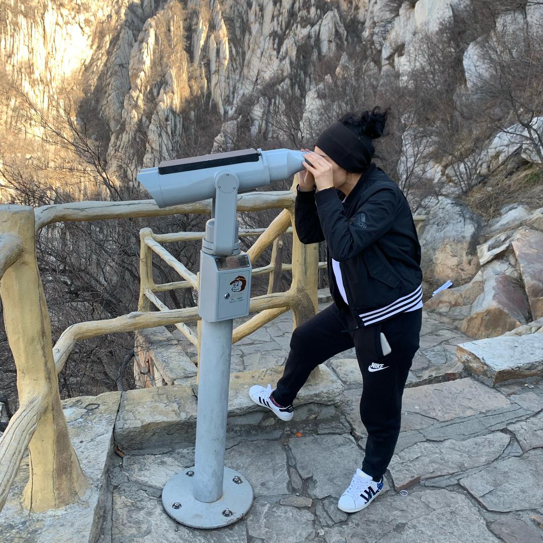 杨珊