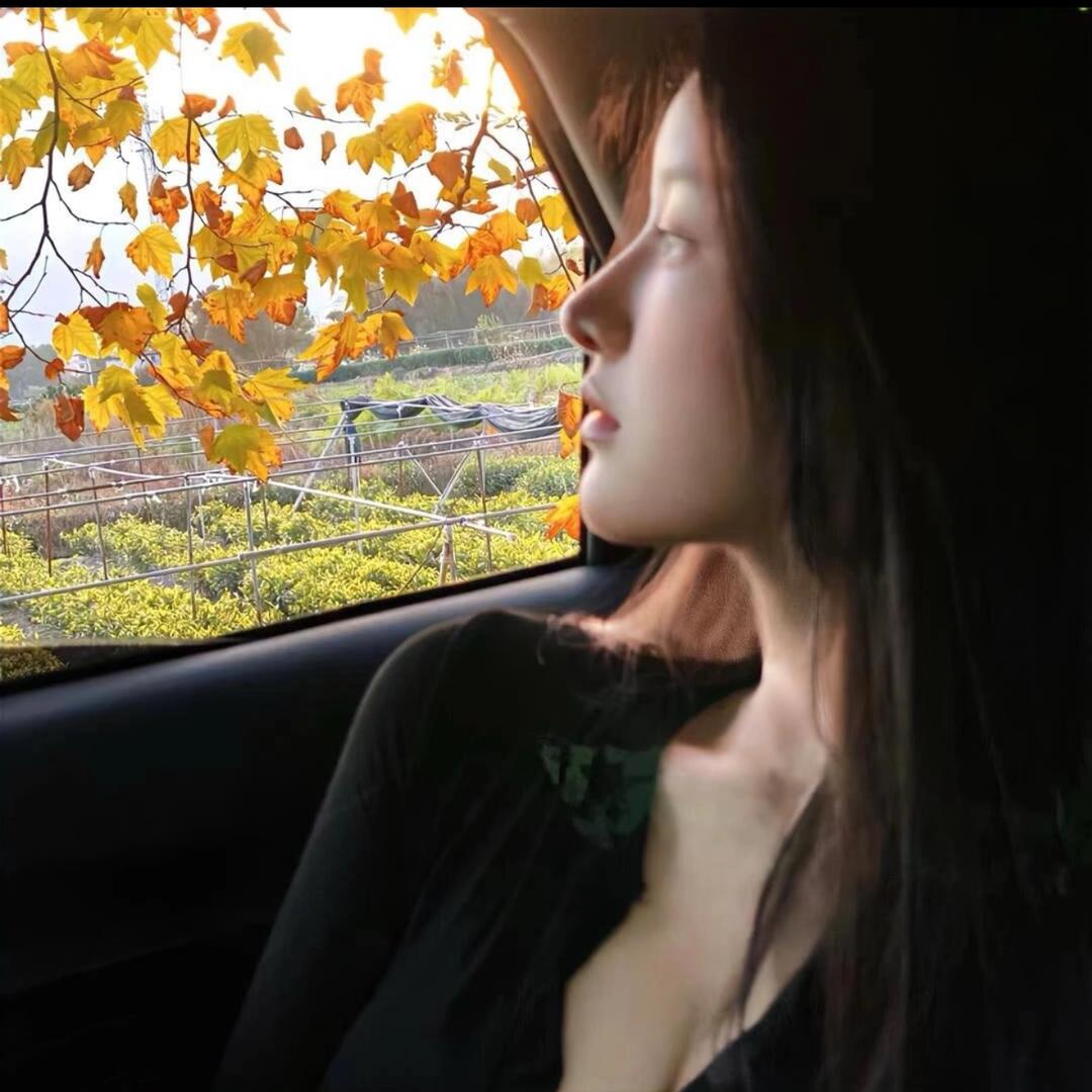 ㅤㅤㅤㅤㅤㅤㅤ ㅤㅤㅤㅤ ㅤㅤㅤㅤㅤㅤ